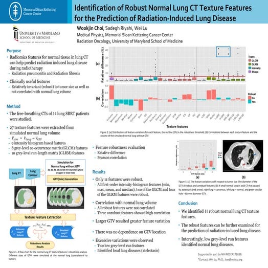Identification of Robust Normal Lung CT Texture Features