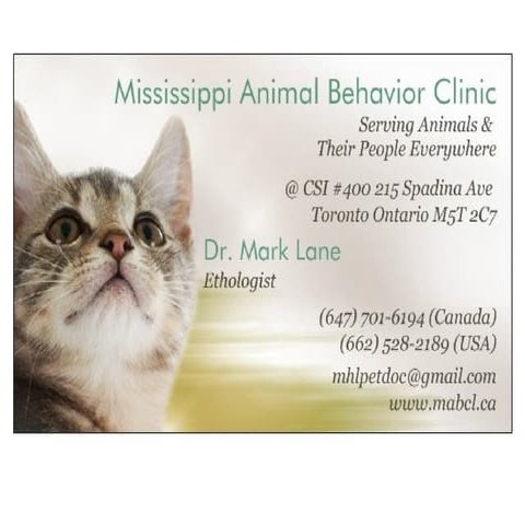 WCH presentation slides