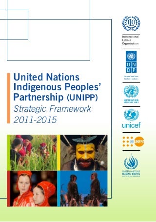 UNIPP Strategic Framework 2011-2015
