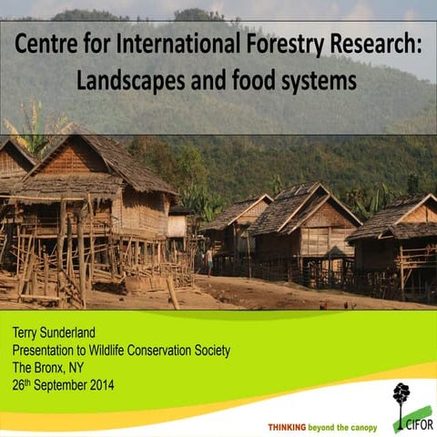 Centre for International Forestry Research: Landscapes and food systems  