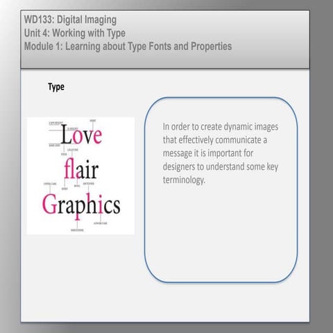 Wd133 unit 4 module 1 learning about type fonts and properties[2]