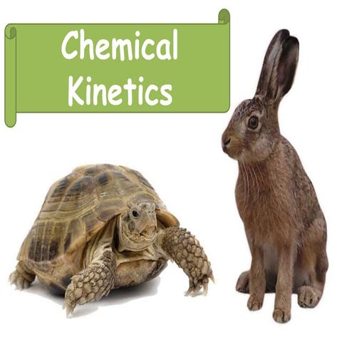 Chemica kinetic 2017