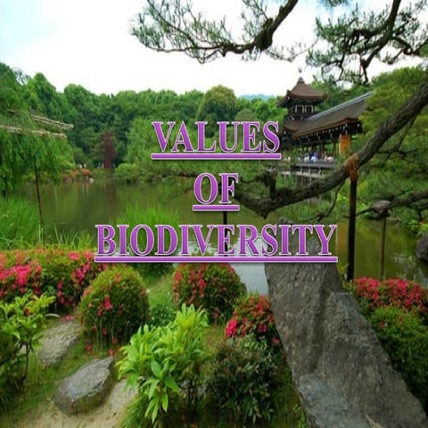  value of biodiversity