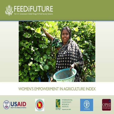 The Women's Empowerment in Agricultre Index (English)