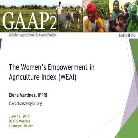 The Women’s Empowerment in Agriculture Index (WEAI)