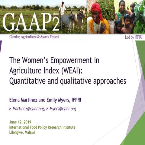 WEAI Seminar for IFPRI Malawi June 12, 2019 