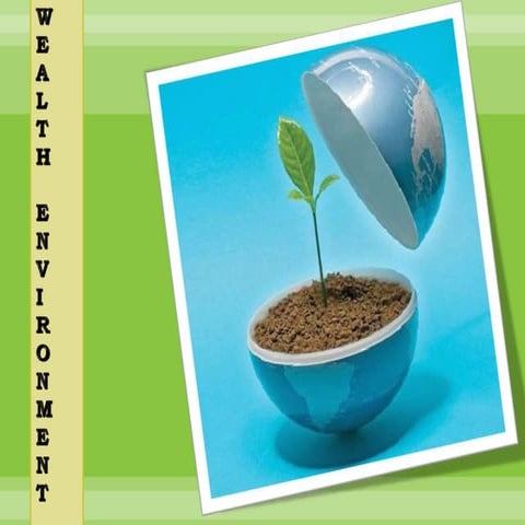 Wealth environment
