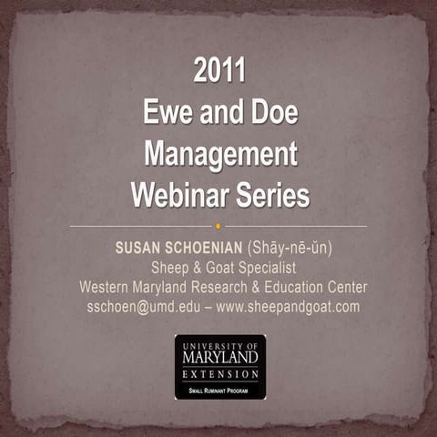 Weaning lambs and kids