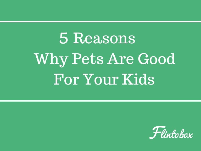 5 Reasons Why Pets Are Good For Your Kids
