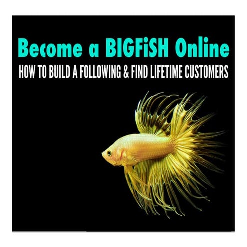 Become a BIGFiSH Online: How to Build a Following & Find Lifetime Customers