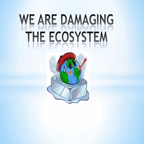 We are damaging the ecosystem