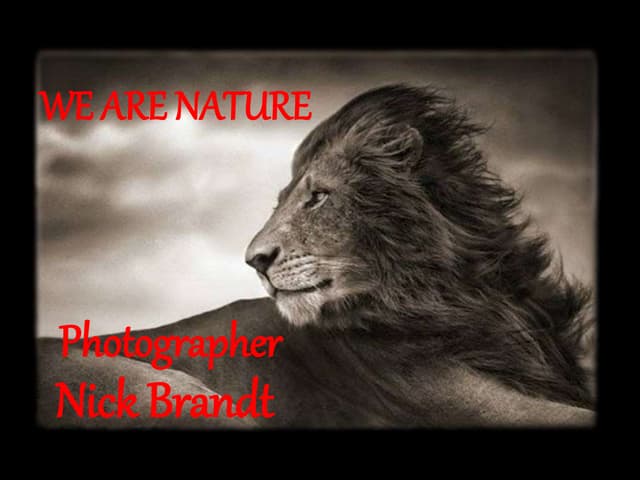 WE ARE NATURE with NICK BRANDT´S PHOTOS 
