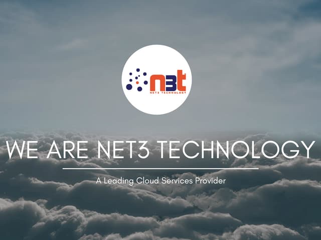 We are Net3 Technology