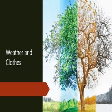 Weather and clothes