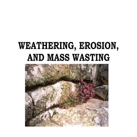 Weathering, erosion, and mass wasting