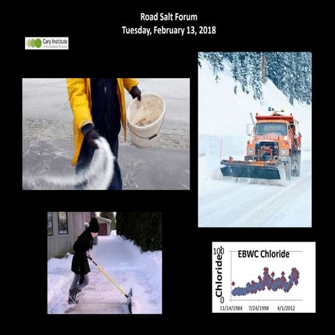 Road Salt: Next Steps