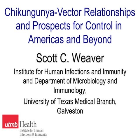 UTMB: Chikungunya Vector Relationships and Prospects for Control in Americas ...