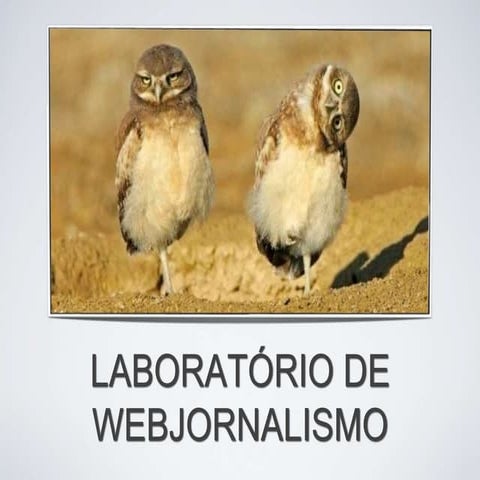 Apresentação da disciplina de webjornalismo