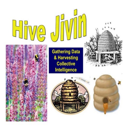 Web Mesh Agrobiodiversity Climate Water And Poverty Solutions 01 09