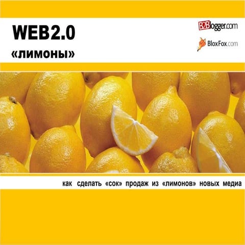 Web 2.0 Lemons