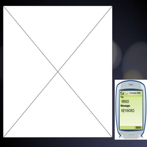 Free 'n Easy: Incorporating Web 2.0 without a Budget