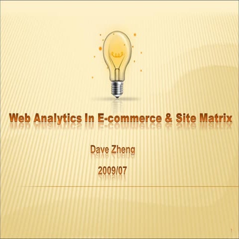 Web Analytics & Site matrix