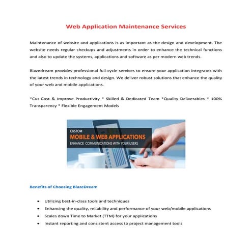 Web application maintenance services