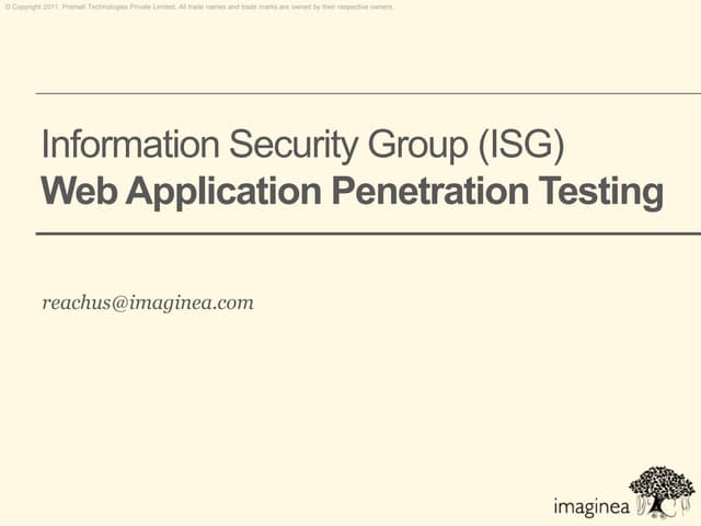 Web application penetration testing