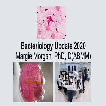 Bacteriology Update 2020