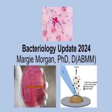 WEB BACTERIOLOGY 2024 | Microbes With Morgan