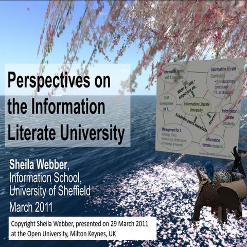 Perspectives on the Information Literate University