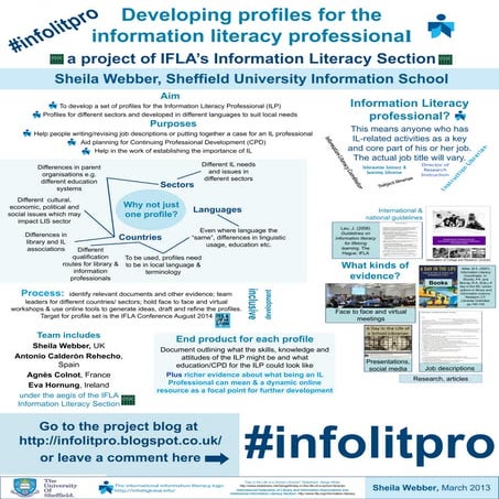 Developing profiles for the information literacy professional