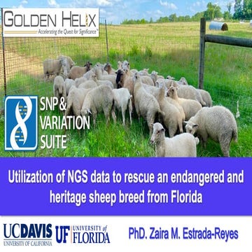 Utilization of NGS data and genomic selection to rescue an endangered and her...