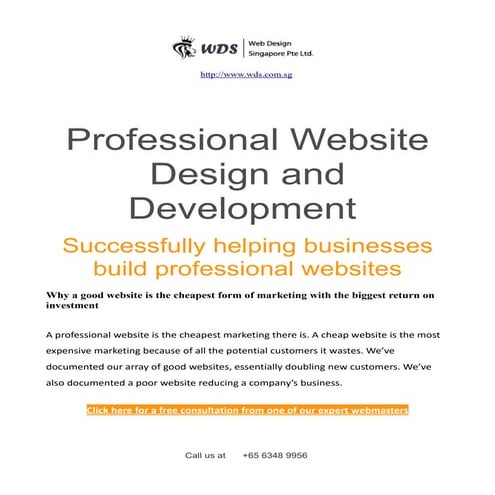 Web design singapore__award_winning_service