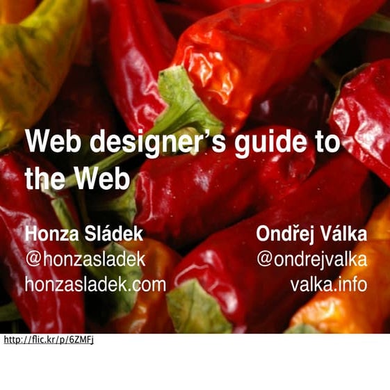 Web designerʼs guide to the Web