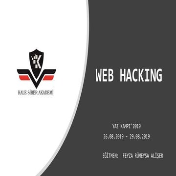 Web Hacking