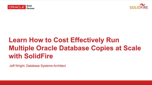 Cost Effectively Run Multiple Oracle Database Copies at Scale 