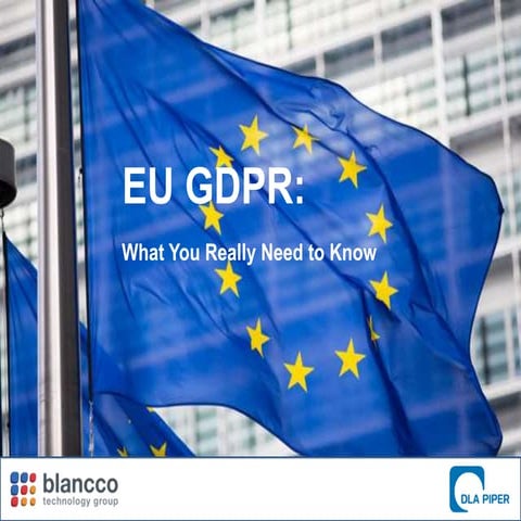 EU GDPR: What You Really Need to Know 