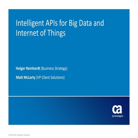 Intelligent APIs for Big Data & IoT  Create customized data views for mobile,...