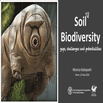 Global Soil Biodiversity: Status, gaps and way forward Ms Monica Kobayashi, FAO