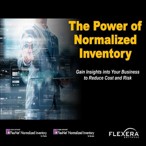 Webinar: The Power of Normalized Inventory
