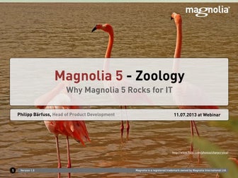 Webinar - Why Magnolia 5 Rocks For IT