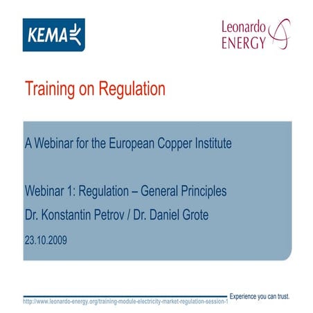 Electricity Markets Regulation - Lesson 1 - Regulation  General Principles