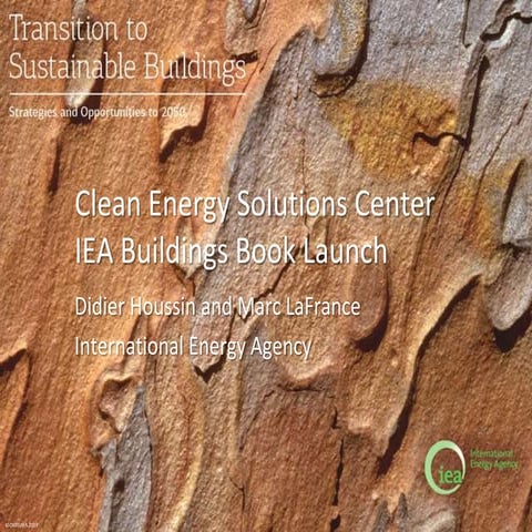 Transition to Sustainable Buildings: Clean Energy Solutions Center Book Launch 