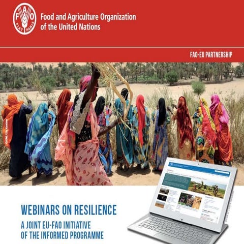 Webinar 2 on resilience: Resilience Index Measurement and Analysis II – RIMA ...
