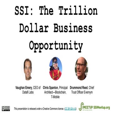 SSI: The Trillion Dollar Business Opportunity