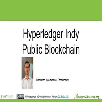 The Hyperledger Indy Public Blockchain Node