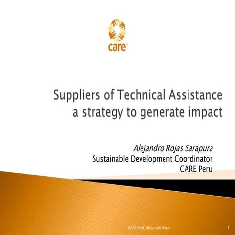 Webinar #4 CARE Peru Technical Assistance Providers Model