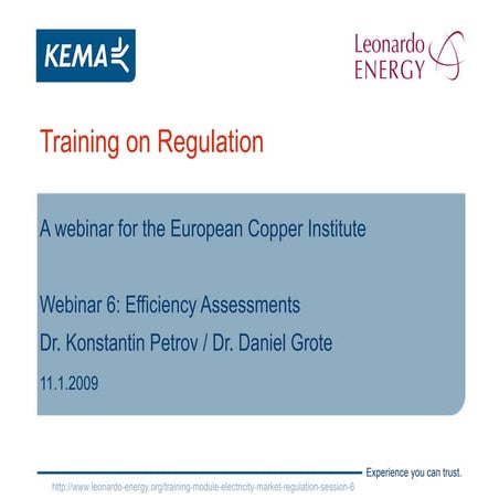 Electricity Markets Regulation - Lesson 6 - Efficiency Assessments