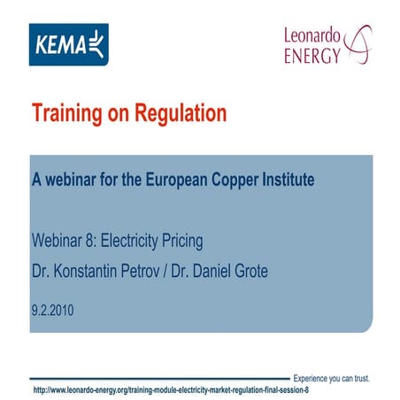 Training Module on Electricity Market Regulation - SESSION 8 - Pricing